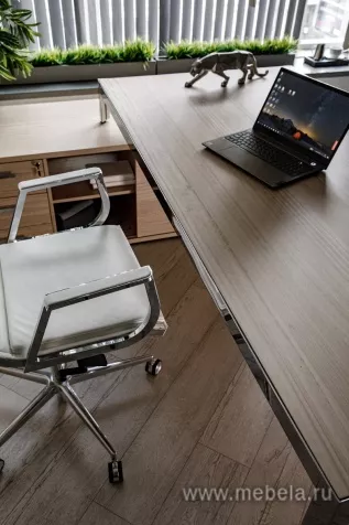 кабинет Энцо