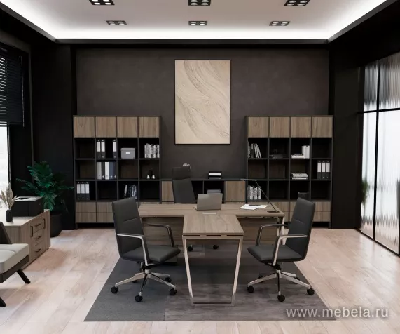 кабинет Проджект Люкс Вяз