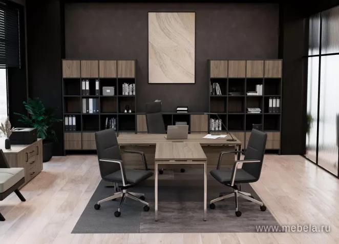 кабинет Проджект Люкс Вяз