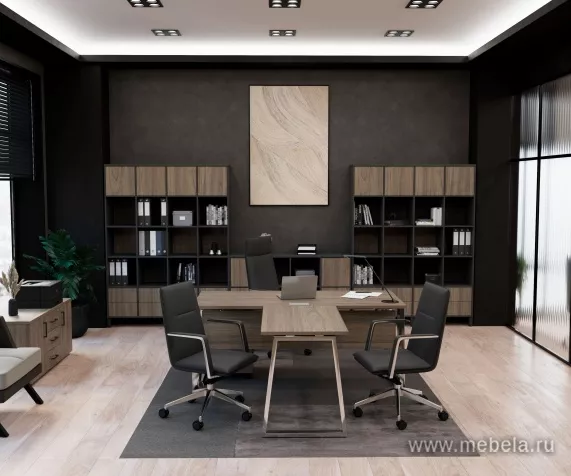 кабинет Проджект Люкс Вяз