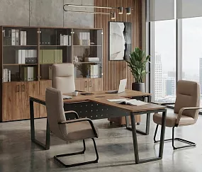 кабинет Проджект Дуб Т