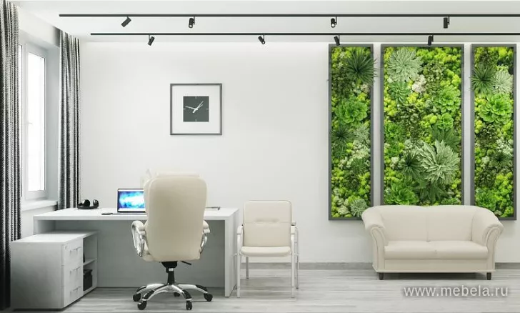 кабинет Ялта Cнежная