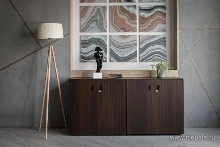 кабинет Ренз