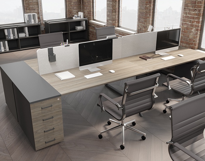 фото мебель Проджект Вяз					 №4					