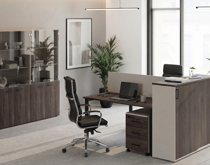 фото офисная мебель Эво Металл					